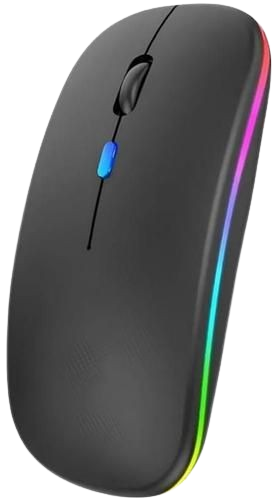 Mouse