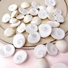 Original Small Size Gomti Chakra Natural River Stone for Puja, Vastu Shastra, Wealth Attraction, Astrology Remedies, Spiritual Healing, Positive Energy, Home Temple and Business Prosperity thumbnail 0