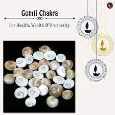 Original Small Size Gomti Chakra Natural River Stone for Puja, Vastu Shastra, Wealth Attraction, Astrology Remedies, Spiritual Healing, Positive Energy, Home Temple and Business Prosperity thumbnail 1