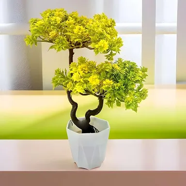 Artificial Plants for Home Decoration Tree with Pot for Living Room, Office, and Center Table and Office thumbnail 3