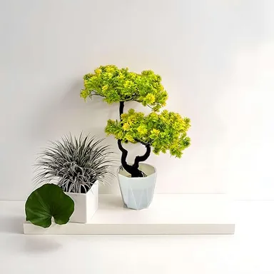 Artificial Plants for Home Decoration Tree with Pot for Living Room, Office, and Center Table and Office thumbnail 0