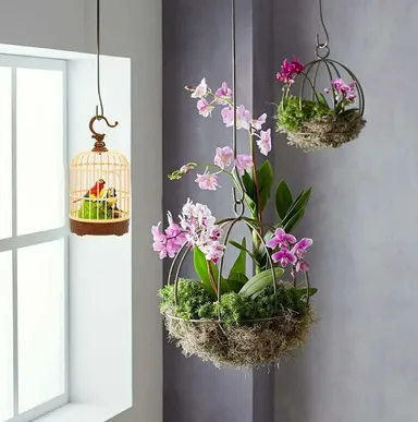 Interactive Singing Moving Chirping Bird Pet Toy in Hanging Cage for Kids and Adults – Realistic Bird Toy with Sound & Movement thumbnail 2
