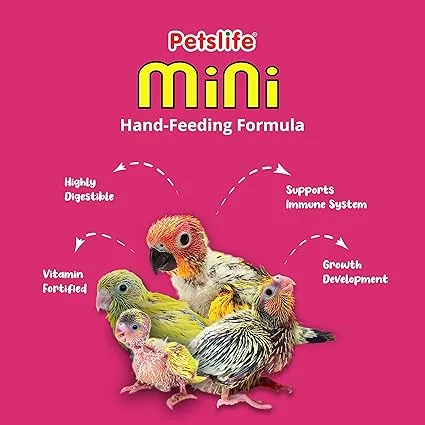 Petslife Hand Feeding Formula 50gm – Complete Daily Nutrition for Baby Birds with DHA Omega-3 image 3