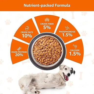 Bairo Adult Dog Food | Chicken & Rice 10kg Bag | High Protein Dry Food for All Breeds | Supports Healthy Skin, Coat, Digestion & Immunity thumbnail 2