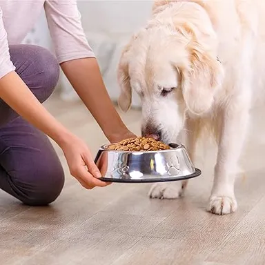 Bairo Adult Dog Food | Chicken & Rice 10kg Bag | High Protein Dry Food for All Breeds | Supports Healthy Skin, Coat, Digestion & Immunity thumbnail 4