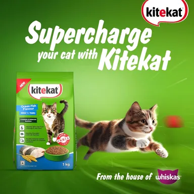 Kitekat Adult Dry Cat Food Ocean Fish Flavour 1kg | Premium Cat Food for All Breeds | Me-O Creamy Treats Tuna & Tomato Flavor 60G thumbnail 1
