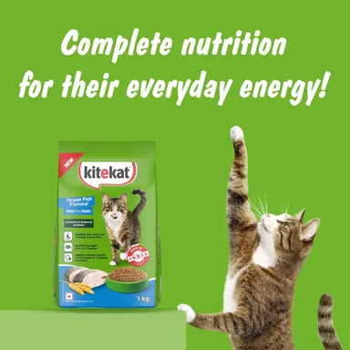 Kitekat Adult Dry Cat Food Ocean Fish Flavour 1kg | Premium Cat Food for All Breeds | Me-O Creamy Treats Tuna & Tomato Flavor 60G thumbnail 2