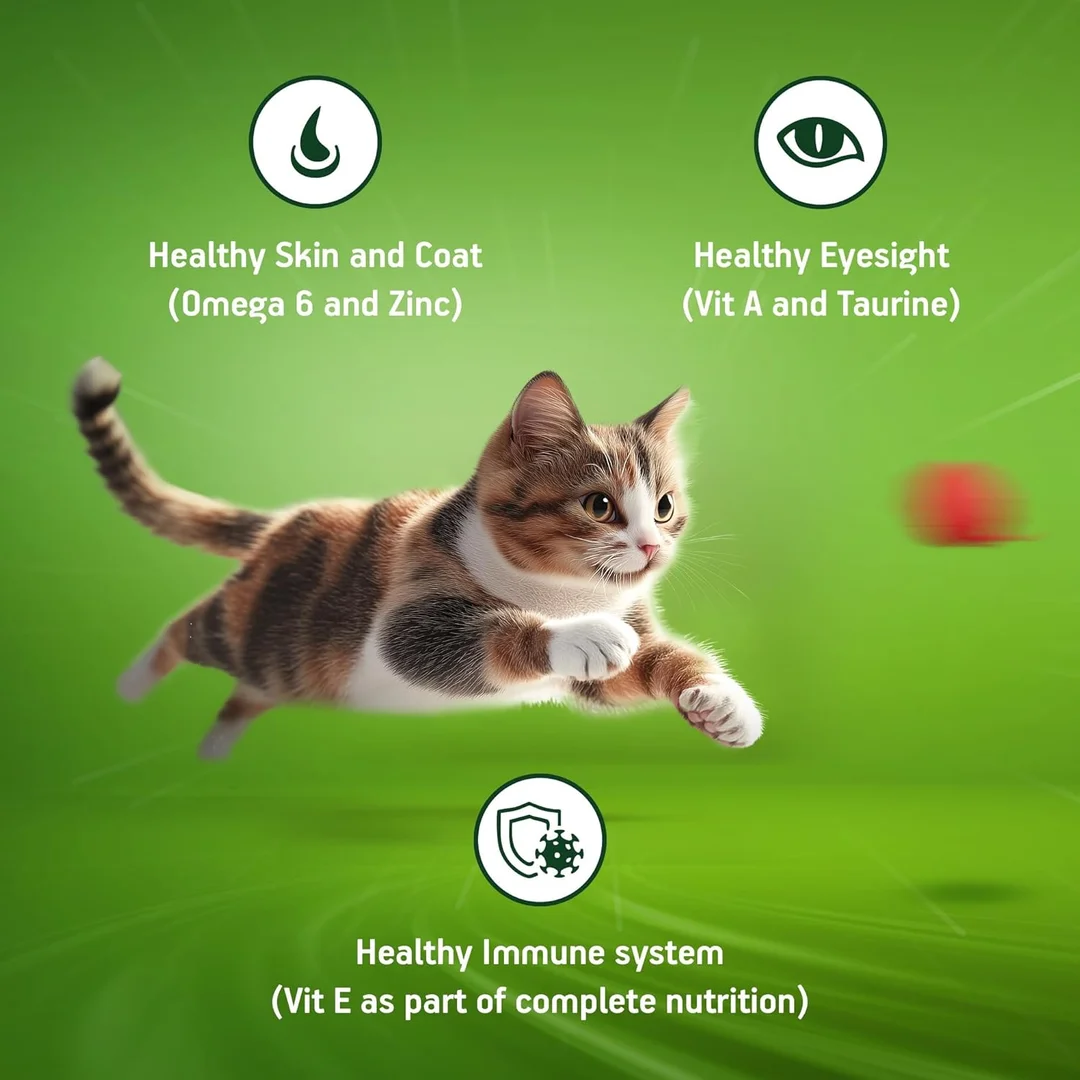 Kitekat Adult Dry Cat Food Ocean Fish Flavour 1kg | Premium Cat Food for All Breeds | Me-O Creamy Treats Tuna & Tomato Flavor 60G image 4