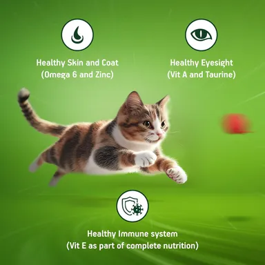 Kitekat Adult Dry Cat Food Ocean Fish Flavour 1kg | Premium Cat Food for All Breeds | Me-O Creamy Treats Tuna & Tomato Flavor 60G thumbnail 3