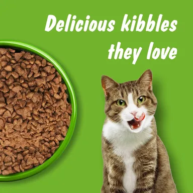 Kitekat Adult Dry Cat Food Ocean Fish Flavour 1kg | Premium Cat Food for All Breeds | Me-O Creamy Treats Tuna & Tomato Flavor 60G thumbnail 6