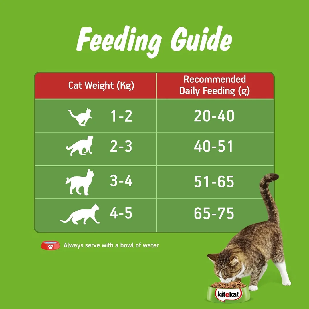 Kitekat Adult Dry Cat Food Ocean Fish Flavour 1kg | Premium Cat Food for All Breeds | Me-O Creamy Treats Tuna & Tomato Flavor 60G image 9