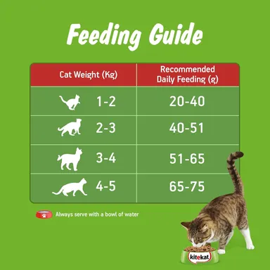 Kitekat Adult Dry Cat Food Ocean Fish Flavour 1kg | Premium Cat Food for All Breeds | Me-O Creamy Treats Tuna & Tomato Flavor 60G thumbnail 8