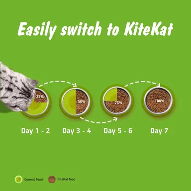 Kitekat Adult Dry Cat Food Ocean Fish Flavour 1kg | Premium Cat Food for All Breeds | Me-O Creamy Treats Tuna & Tomato Flavor 60G thumbnail 9