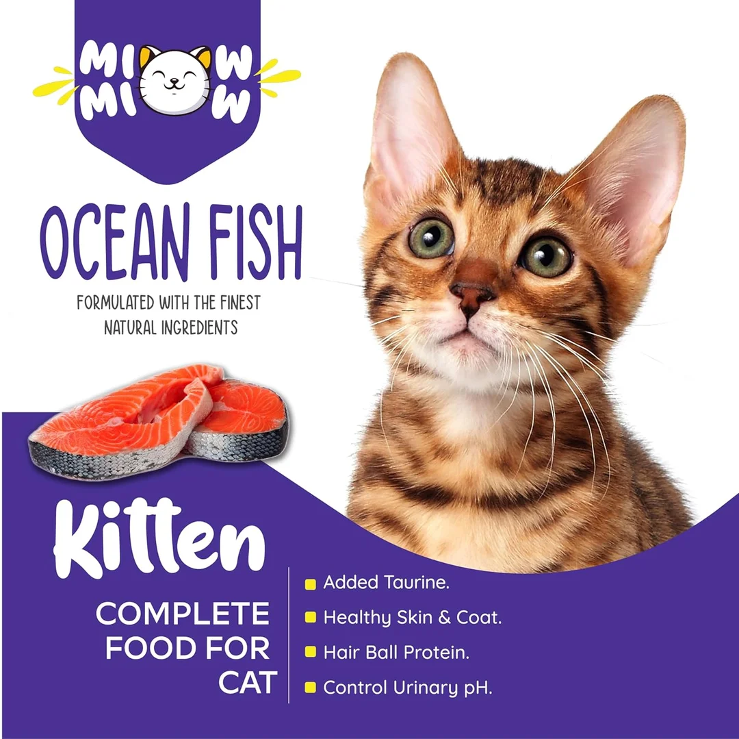 Dry Cat Food Maxi Persian All Lifestages Ocean Fish Flavor 1.2 Kg with Toptail Chicken & Liver Creamy Lickable Cat Treats | Premium Cat Food for All Breeds image 4