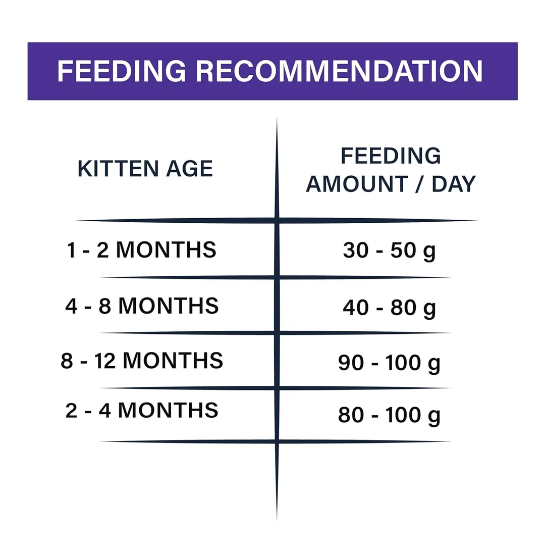 Dry Cat Food Maxi Persian All Lifestages Ocean Fish Flavor 1.2 Kg with Toptail Chicken & Liver Creamy Lickable Cat Treats | Premium Cat Food for All Breeds image 8