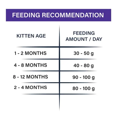 Dry Cat Food Maxi Persian All Lifestages Ocean Fish Flavor 1.2 Kg with Toptail Chicken & Liver Creamy Lickable Cat Treats | Premium Cat Food for All Breeds thumbnail 7