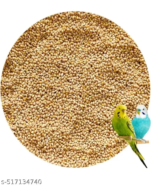 Seeds Bird Food, Fruit Flavor Small Size 500gm | Immunity Support, Skin & Feather Health, Optimal Nutrition for Budgies, Finches & Lovebirds image 2