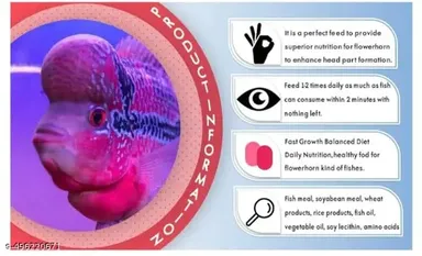 Horizone Royal Flowerhorn Daily Nutrition Fish Food 100G | Complete Nutrition for Flowerhorn Fish, Fast Growth & Palatability thumbnail 3