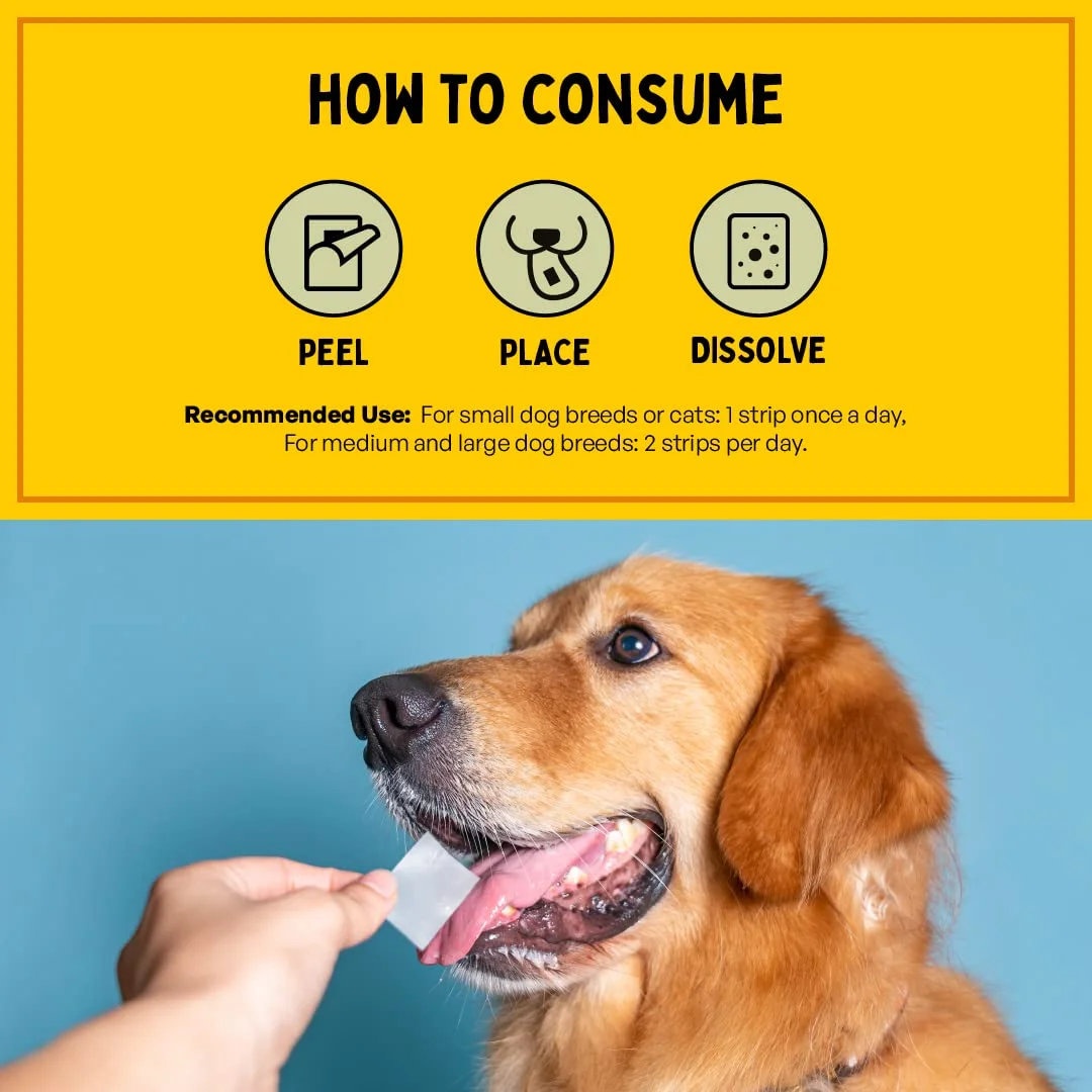 Furlicks Skin & Coat Supplement for Dogs & Cats Pack Of 2 (30 strips)| Biotin Omega 3 & 6 Fatty Acids, Chia Seeds for Shiny Fur Healthy Skin & Reduced Shedding image 5