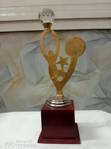 Diamond Human Star Metal Trophy | Premium Award Trophy for Sports, Academic & Achievement Recognition thumbnail 1