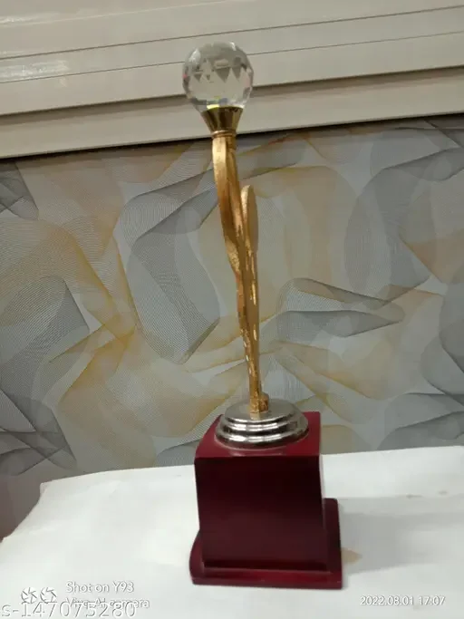 Diamond Human Star Metal Trophy | Premium Award Trophy for Sports, Academic & Achievement Recognition image 3