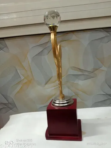 Diamond Human Star Metal Trophy | Premium Award Trophy for Sports, Academic & Achievement Recognition thumbnail 2