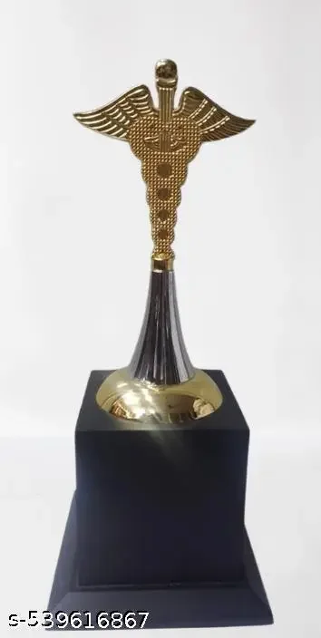Doctor's Metal Trophy | Medical Achievement Award image 1