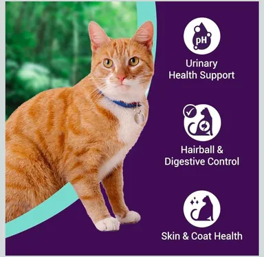 BILLI Dry Food Tuna Flavor Kitten Food 500gm | Me O Creamy Treats Salmon Flavor 60gm Healthy Skin & Coat Best Quality Food For All cat Breeds. thumbnail 3