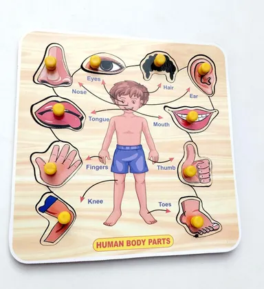 Wooden Clock Puzzle Toy for Toddlers India | EL SMO Body Parts Educational Jigsaw Puzzle Pack of 2 Learning Toys for Kids and Babies thumbnail 3