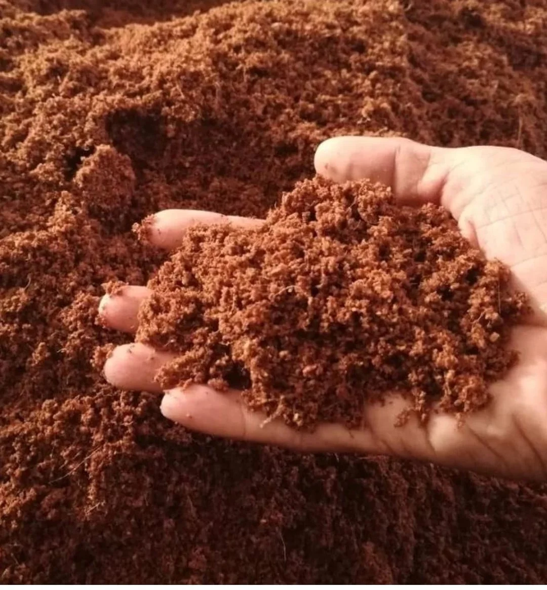 Coco Peat 5kg Block | Organic Coconut Husk Fiber, Eco-Friendly Growing Medium, Compressed Coir Pith for Plants image 1