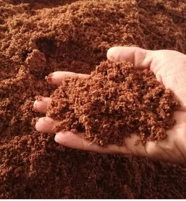 Coco Peat 5kg Block | Organic Coconut Husk Fiber, Eco-Friendly Growing Medium, Compressed Coir Pith for Plants thumbnail 0