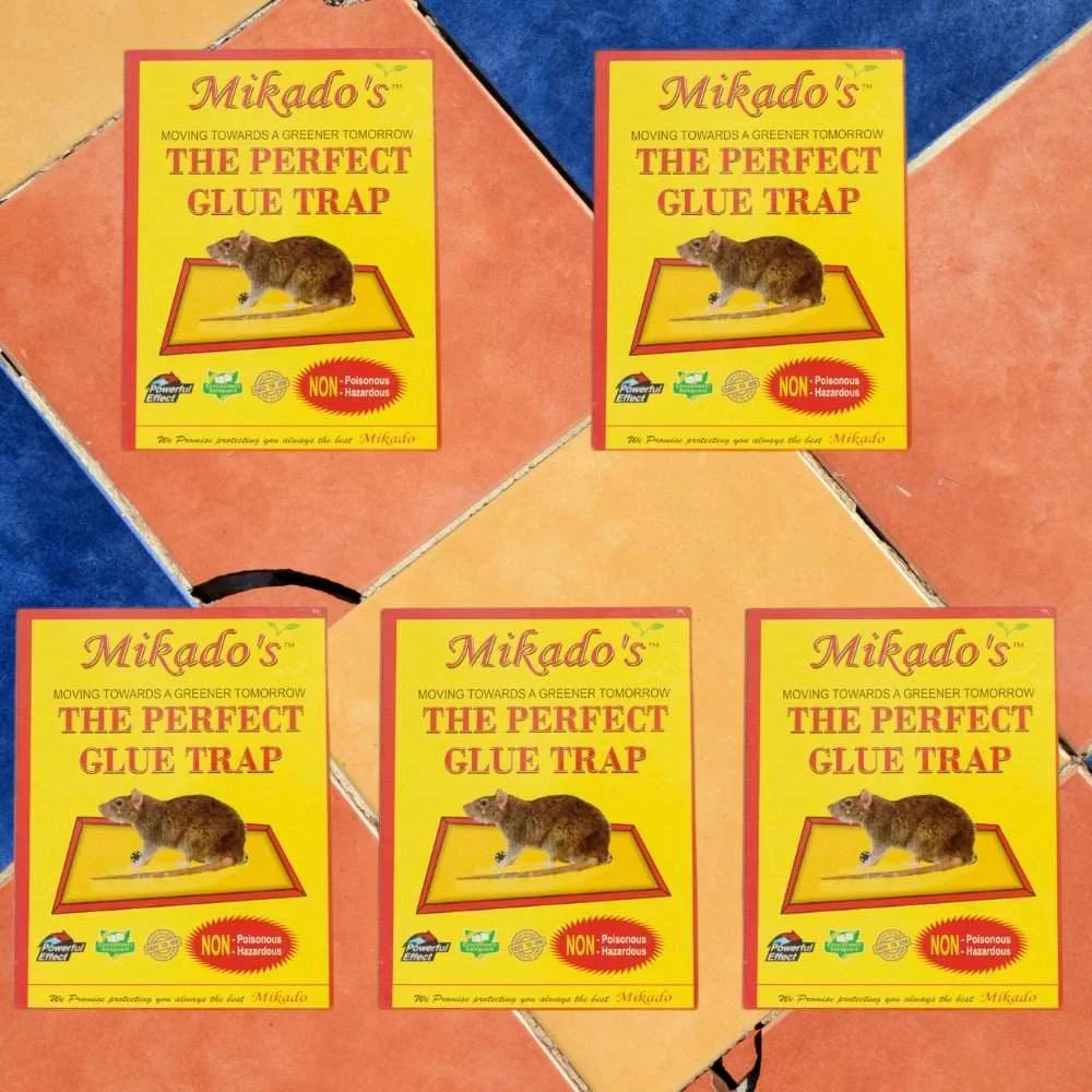Mikado's Perfect Glue Trap Small | Non Toxic Glue Trap for Rats and Mice Pack of 5. image 1