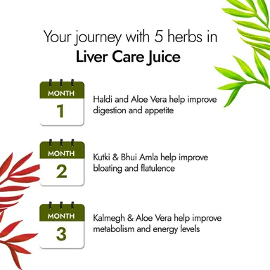 Ayuzera Himalayan Sea Buckthorn Juice 300ml | Rich in Vitamin C, Antioxidants | Liquid Immunity Booster, Skin Health Supplement | Pack of 1 thumbnail 2