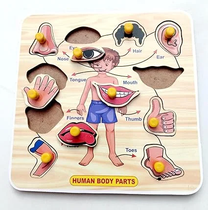 EL SMO Wooden Human Body Puzzle Board | Educational Knob Puzzle for Kids | Early Learning Toy | Body Parts Learning | Durable Wooden Puzzle for Toddlers image 2