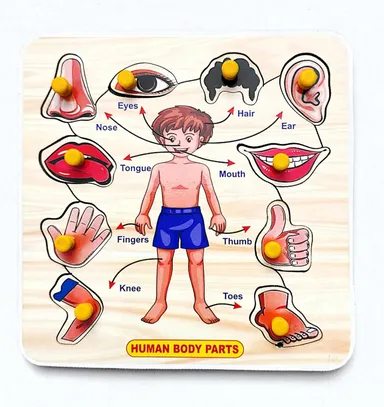 EL SMO | Body Parts Wooden Puzzle Toy | Educational Clock Puzzle | 2 Pack | Kids & Adults Learning Board Game  thumbnail 1