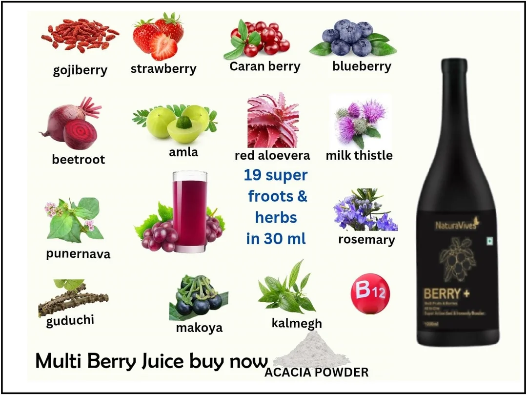 Pro Berry Multi Fruit Juice 1L | Natural Antioxidant Immunity Booster Drink|No Added Sugar| Vegan & Gluten-Free| Daily Wellness Fruit Blend Acai Berry Blue Berry Goji Berry image 2