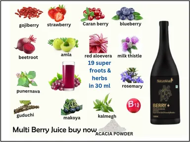 Pro Berry Multi Fruit Juice 1L | Natural Antioxidant Immunity Booster Drink|No Added Sugar| Vegan & Gluten-Free| Daily Wellness Fruit Blend Acai Berry Blue Berry Goji Berry  thumbnail 1