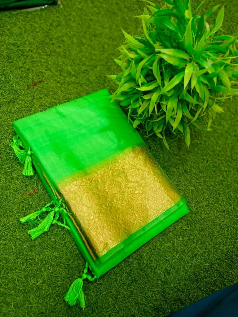 Green Maslin Organza Saree with Golden Zari Border Free Size Traditional Festive Bridal Wear Ethnic Wedding Party Saree image 1