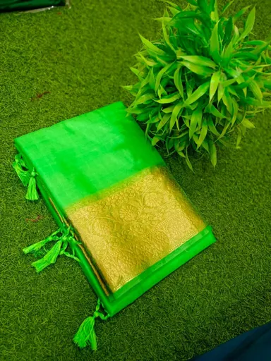 Green Maslin Organza Saree with Golden Zari Border Free Size Traditional Festive Bridal Wear Ethnic Wedding Party Saree thumbnail 0
