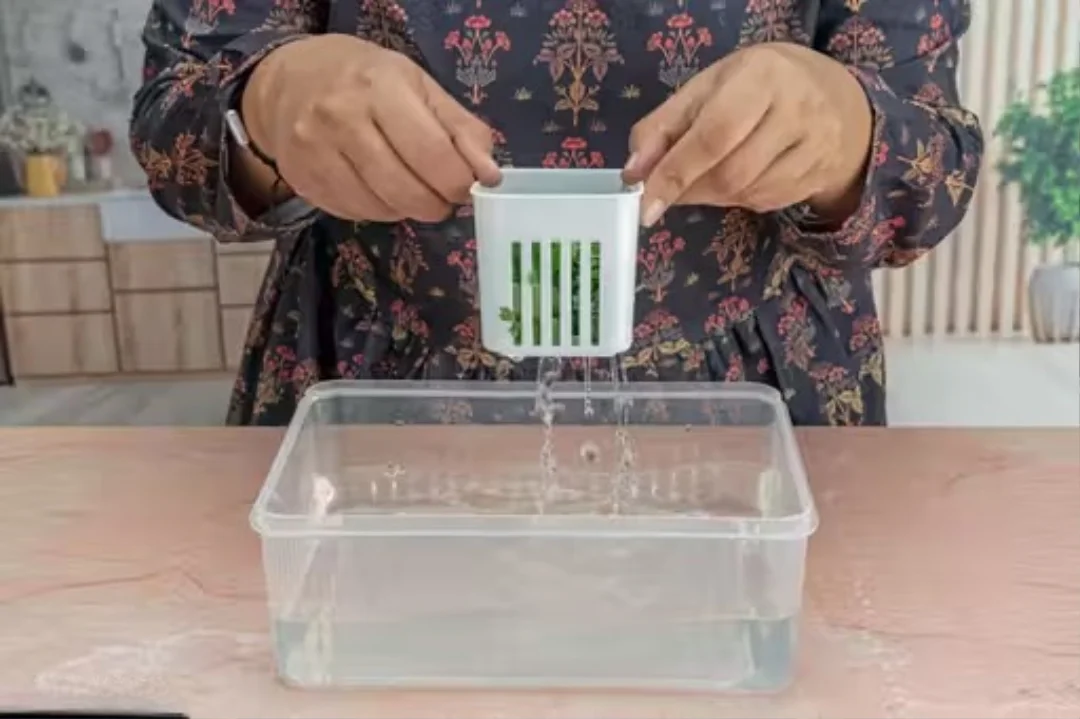 Spring Onion Storage Box | 6-in-1 Multipurpose Food Storage | Container for Onion Garlic Ginger image 2