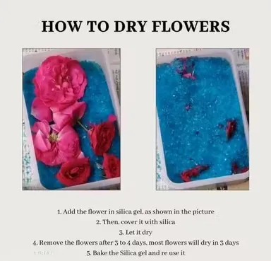 Silica Gel for Drying Flowers | Flower Preservation Silica Powder for Resin Art | Moisture Absorber Reusable Silica Gel Beads 200g thumbnail 1
