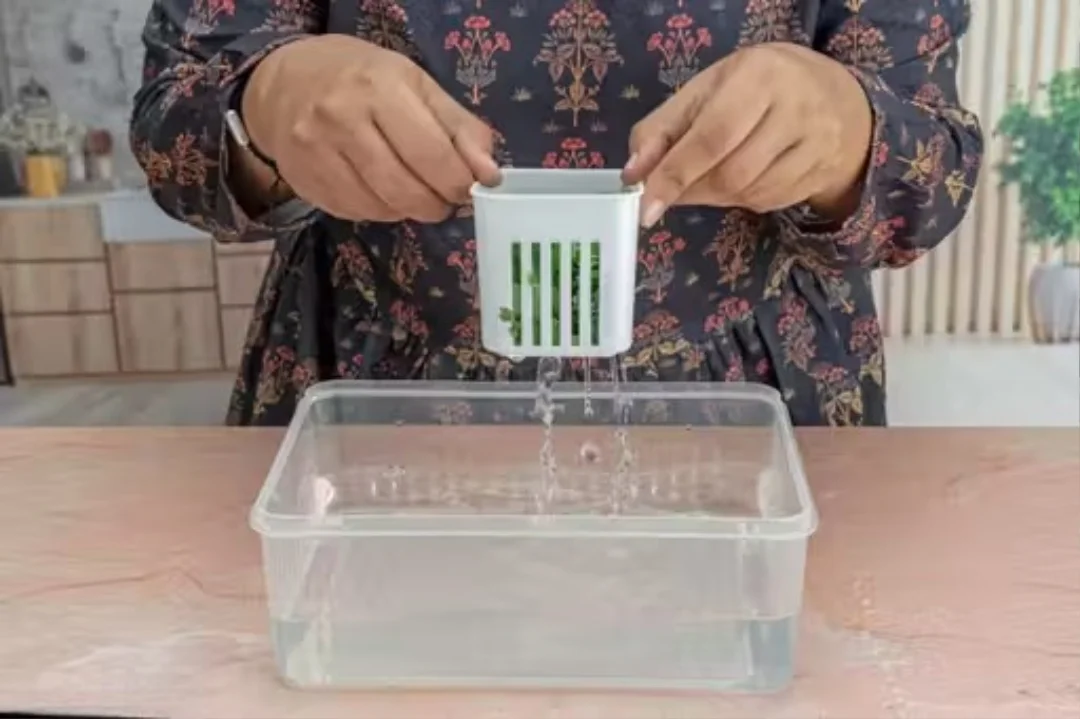 Kitchen Spring Onion Storage Box 6-in-1 | Multipurpose Plastic Food Storage | Container for Ginger Garlic Onions Cherries Vegetables image 2