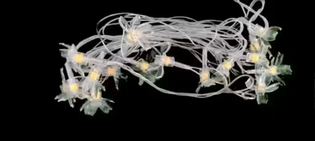 String Lights | LED Decorative Lights for Indoor & Outdoor | 16 LED Flower Lights | Warm White | Plastic | 390x2x2 CM | Diwali & Festival Decor | Suitable for Garden | Balcony | Puja Room image 2