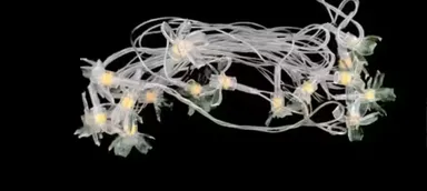 String Lights | LED Decorative Lights for Indoor & Outdoor | 16 LED Flower Lights | Warm White | Plastic | 390x2x2 CM | Diwali & Festival Decor | Suitable for Garden | Balcony | Puja Room thumbnail 1