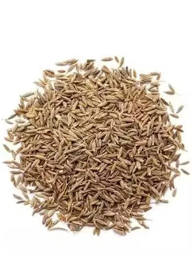 Cumin Seeds Whole Jeera Pack | Authentic Indian Spice for Cooking | Natural Double Pack Kitchen Essentia| 200gm thumbnail 3