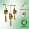 Handmade Macrame Wall Hanging Planter Set| Cotton Rope Pot Holders|3 Plant Holders| White Boho Decor|Indoor Balcony image 1