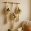 Handmade Macrame Wall Hanging Planter Set| Cotton Rope Pot Holders|3 Plant Holders| White Boho Decor|Indoor Balcony image 3