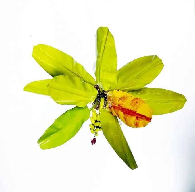 Handicraft Banana Tree Showpiece | Decorative Handmade Plant for Home & Office | Traditional Indoor Décor Gift image 2