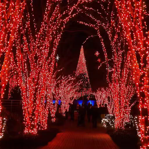 LED String Light 12 Meter Length | Multicolor Decorative Lighting image 3