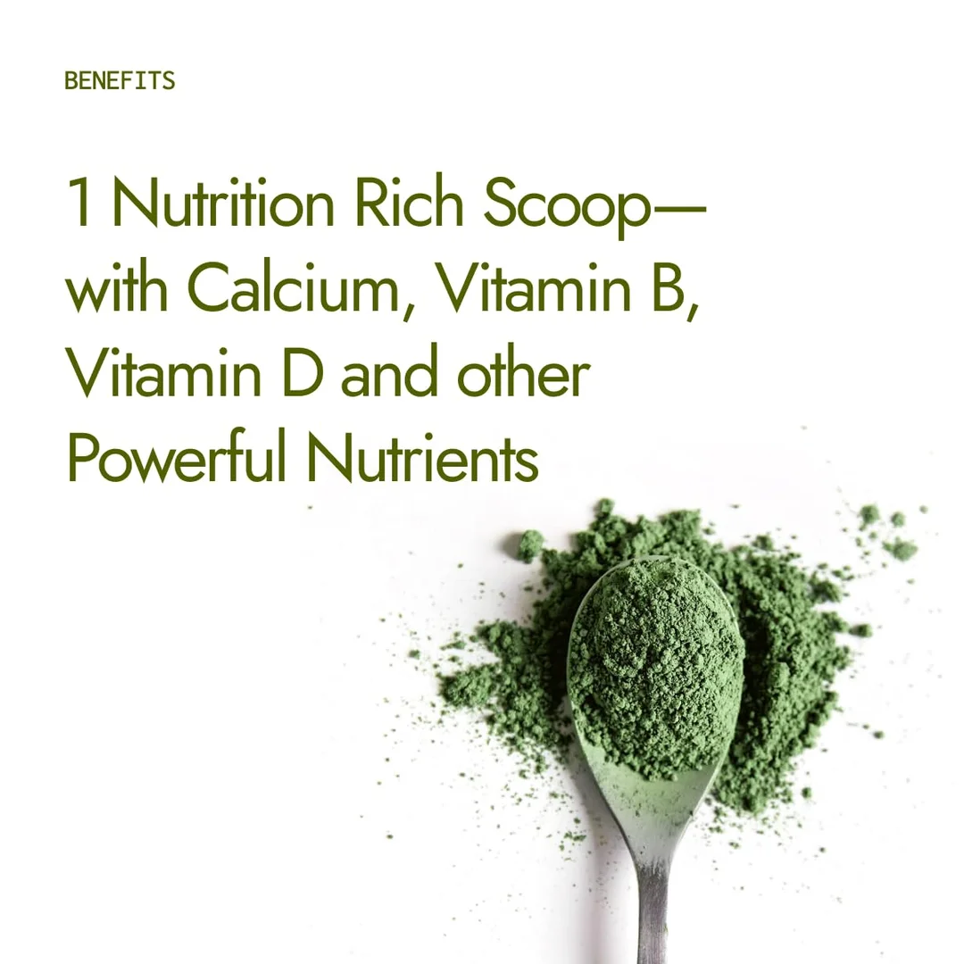 Kapiva Organic Moringa Powder 200g | Certified Drumstick Leaf Powder| Herbal Energy Supplement| Immunity Boost | Natural Superfood image 5